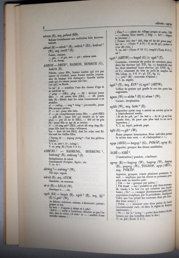 Dictionnaire Bahnar-Français, Guilleminet (tome 1, A-K) / sous partie lettre A : lettre AG / Guilleminet, Paul /  Viet Nam/ Viet Nam
