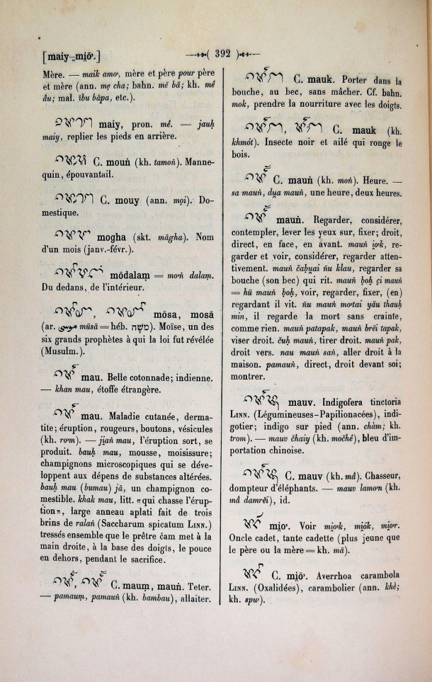 Dictionnaire Cam-Français, E. Aymonier et A. Cabaton / mi< / Cabaton, Antoine; Aymonier, Etienne /  Viet Nam/ Viet Nam