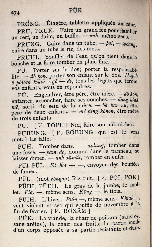 Dictionnaire Bahnar-Français, P.X. Dourisboure / lettre P: lettre PU / Dourisboure, P.X. /  Viet Nam/ Viet Nam