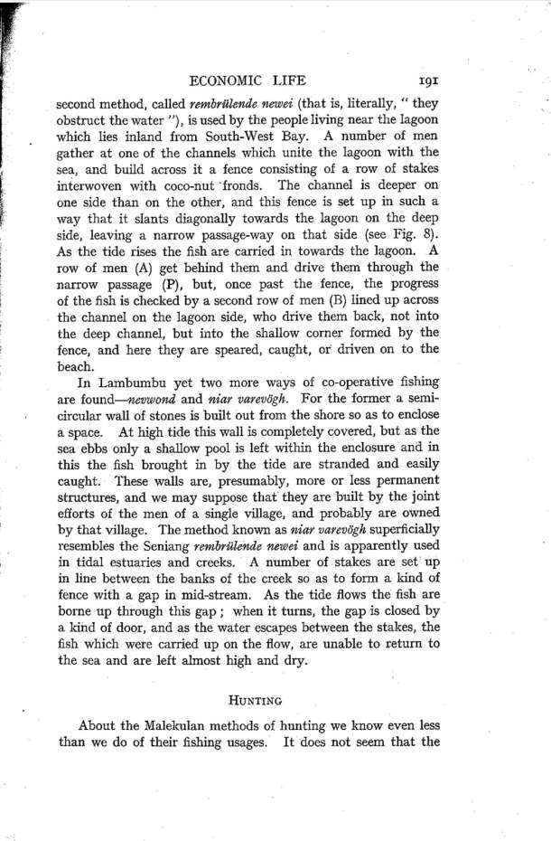 Deacon A.B., 1934. Malekula: A Vanishing People in the New Hebrides / Hunting / Bernard A. Deacon / Vanuatu, Nouvelles-Hébrides, Malekula, South-West Bay
