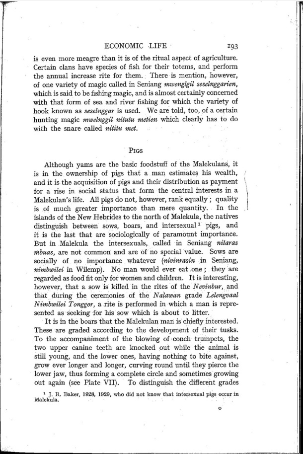 Deacon A.B., 1934. Malekula: A Vanishing People in the New Hebrides / Pigs / Bernard A. Deacon / Vanuatu, Nouvelles-Hébrides, Malekula, South-West Bay