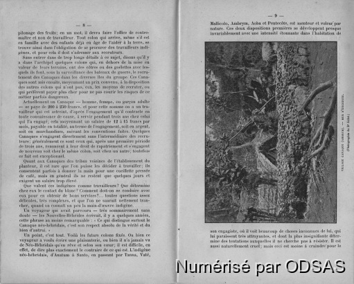 Ernest Davillé, 1898, Les Nouvelles-Hébrides / Ernest Davillé, 1898, Les Nouvelles-Hébrides / Ernest Davillé / Vanuatu