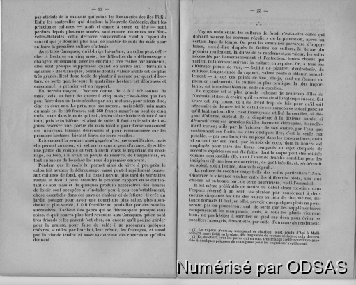 Ernest Davillé, 1898, Les Nouvelles-Hébrides / Ernest Davillé, 1898, Les Nouvelles-Hébrides / Ernest Davillé / Vanuatu