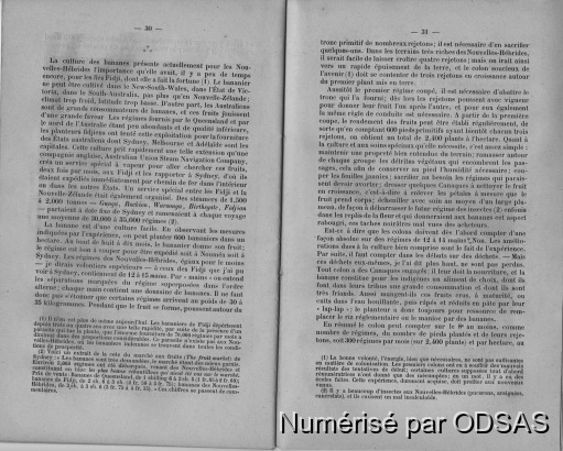 Ernest Davillé, 1898, Les Nouvelles-Hébrides / Ernest Davillé, 1898, Les Nouvelles-Hébrides / Ernest Davillé / Vanuatu