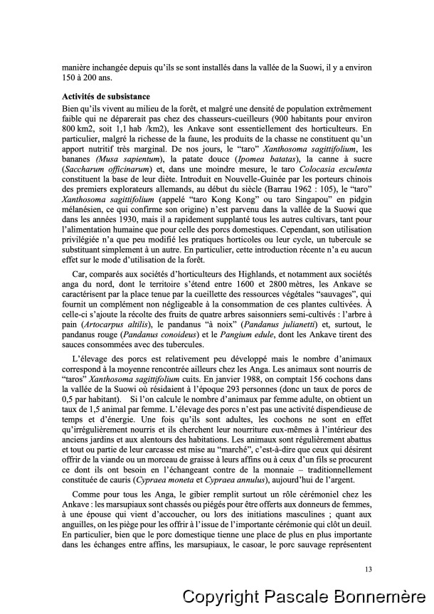 Inventaire ethnobotanique ankave / Ankave Ethnobotany / Inventaire ethnobotanique ankave / Ankave Ethnobotany / Bonnemère, Pascale / Papua New Guinea/ Papouasie-Nouvelle-Guinée