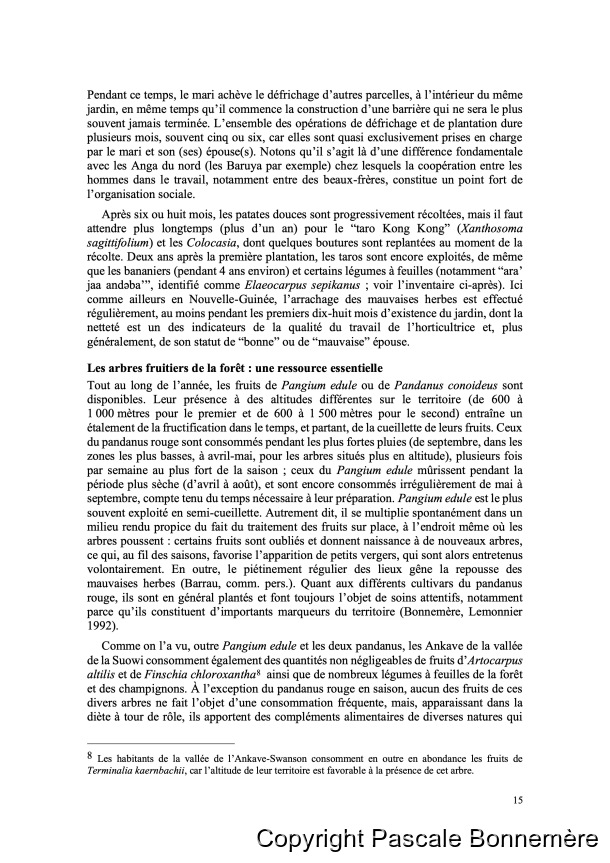 Inventaire ethnobotanique ankave / Ankave Ethnobotany / Inventaire ethnobotanique ankave / Ankave Ethnobotany / Bonnemère, Pascale / Papua New Guinea/ Papouasie-Nouvelle-Guinée