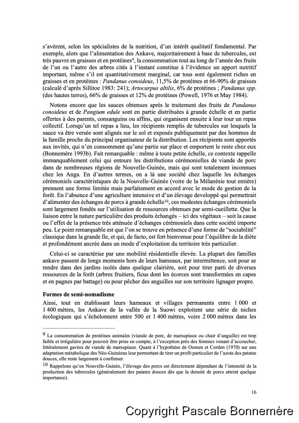 Inventaire ethnobotanique ankave / Ankave Ethnobotany / Inventaire ethnobotanique ankave / Ankave Ethnobotany / Bonnemère, Pascale / Papua New Guinea/ Papouasie-Nouvelle-Guinée