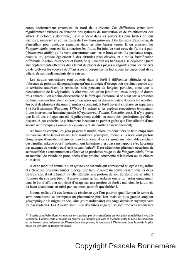 Inventaire ethnobotanique ankave / Ankave Ethnobotany / Inventaire ethnobotanique ankave / Ankave Ethnobotany / Bonnemère, Pascale / Papua New Guinea/ Papouasie-Nouvelle-Guinée