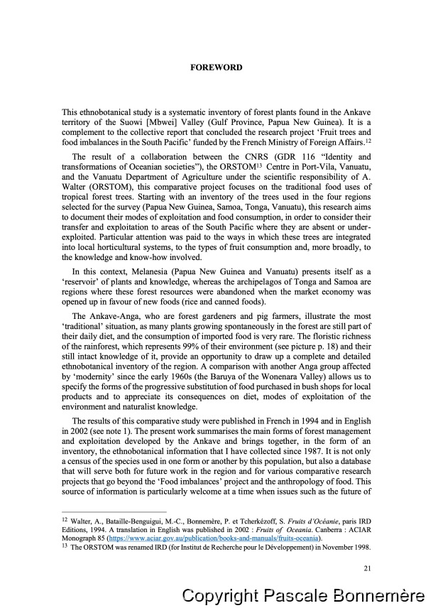 Inventaire ethnobotanique ankave / Ankave Ethnobotany / Inventaire ethnobotanique ankave / Ankave Ethnobotany / Bonnemère, Pascale / Papua New Guinea/ Papouasie-Nouvelle-Guinée