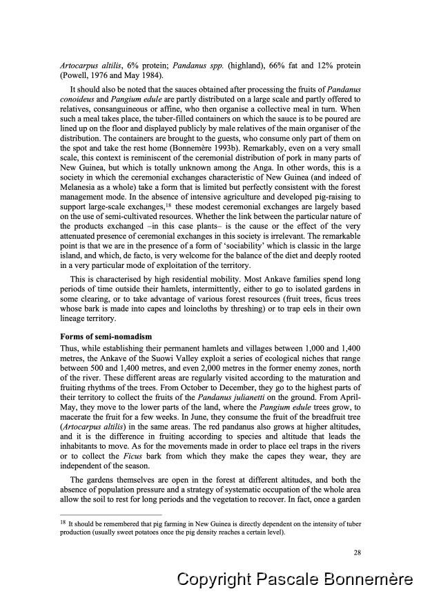Inventaire ethnobotanique ankave / Ankave Ethnobotany / Inventaire ethnobotanique ankave / Ankave Ethnobotany / Bonnemère, Pascale / Papua New Guinea/ Papouasie-Nouvelle-Guinée
