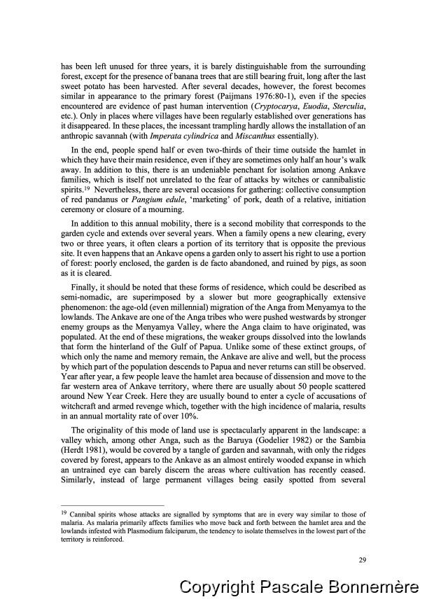 Inventaire ethnobotanique ankave / Ankave Ethnobotany / Inventaire ethnobotanique ankave / Ankave Ethnobotany / Bonnemère, Pascale / Papua New Guinea/ Papouasie-Nouvelle-Guinée