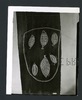 191294